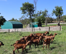 O spolupráci s Betulou a farmaření s Kamilem Šedivým z farmy Člupy