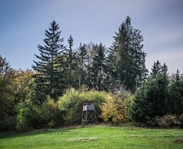 8 důvodů, proč potřebujeme novelu mysliveckého zákona