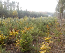 Promíchat, netřepat!