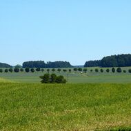 Společné prohlášení varuje před „regenerativním“ greenwashingem