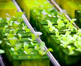 Newsletter k mezinárodnímu projektu HydroFarmVET