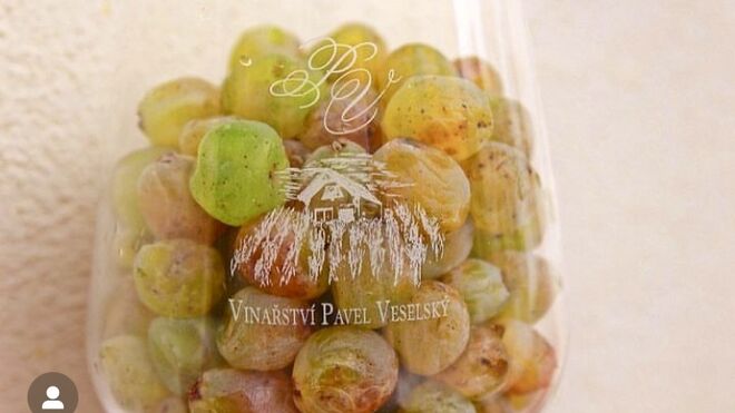 Vinařství Pavel Veselský