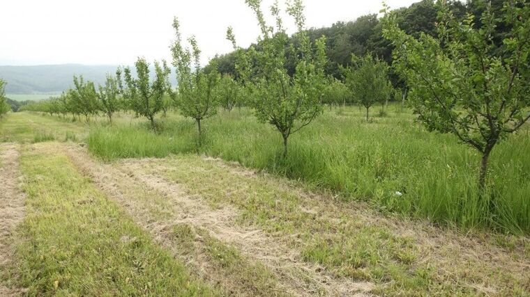 MENDELU: Na distribuci pesticidů v krajině má vliv jak hospodaření, tak druh přírodního stanoviště