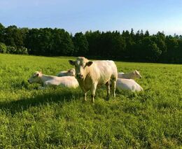 Pozvánka na diskusi u kulatého stolu „Ekologické zemědělství: Trend, nebo nutnost?“ 