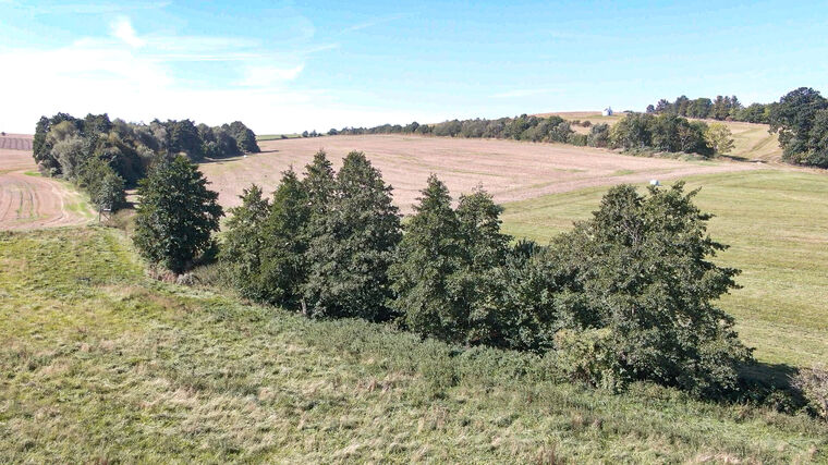Farmáře hlídá systém, který často dává „červenou“