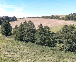 Farmáře hlídá systém, který často dává „červenou“