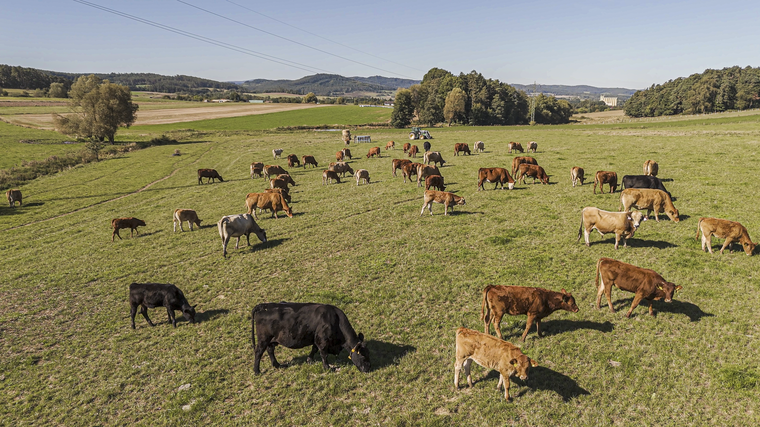 Týden v zemědělství podle Petra Havla – č. 6 