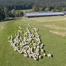 Přírodovědec a poradce prezidenta Ladislav Miko podporuje program ASZ ČR Pestrá krajina