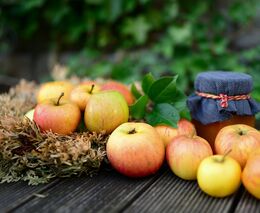 Pozvánka na Lázeňský festival jablek