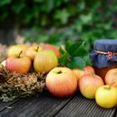 Pozvánka na Vánoční výstavu ovoce: staré odrůdy jablek a hrušní