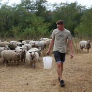 Peníze i pro mladé zemědělce. SZIF začal vydávat rozhodnutí u čtyř dotačních opatření 