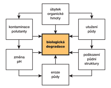 Obrázek 2