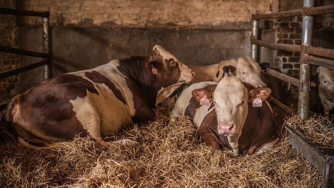 Naše hospodářství