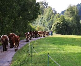 Statek Kollertových - další zlatá medaile v programu Pestrá krajina 2022