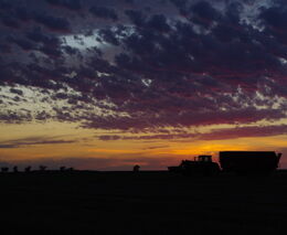 Žně z pohledu regionů ASZ - 4. srpna