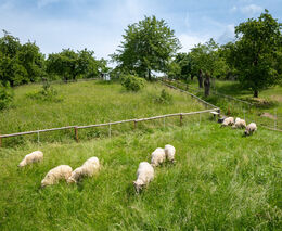 Tady jsou připraveni na změnu klimatu: představujeme vítěze Adapterra Awards 