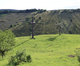 Dokument Motýlí ráj v programu ČT