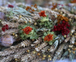 V Lysé nad Labem se budou 5. října konat Středočeské dožínky