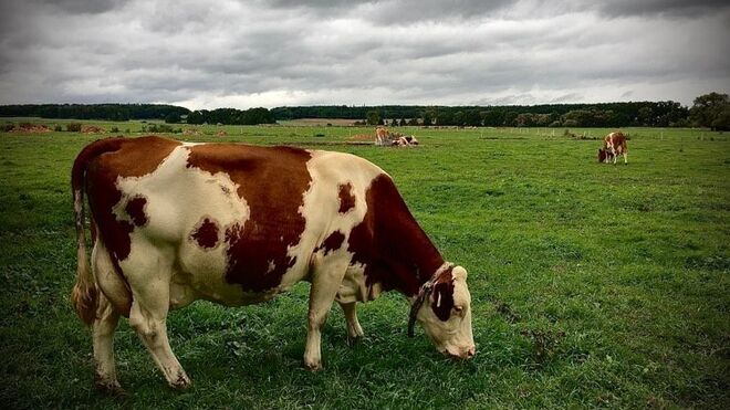 Restaurace a statek U Roubené studny