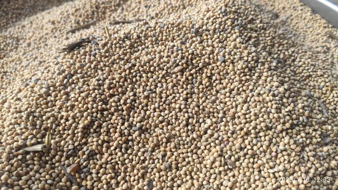 Rodinná farma Rotrekl