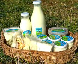 Proč nás čeká další zdražování? Letos si spotřebitelé připlatí za mlékárenské výrobky