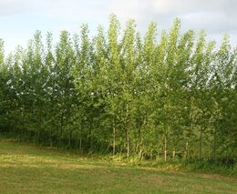 Zdravá půda – náš odkaz dalším generacím VIII