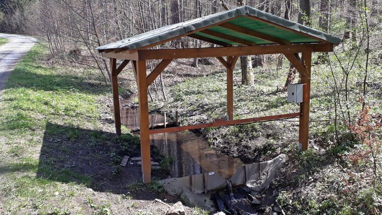 Listnaté lesy v pahorkatinách více tlumí povodně než jehličnaté