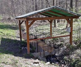 Listnaté lesy v pahorkatinách více tlumí povodně než jehličnaté