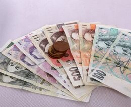 K navýšení kofinancování zemědělských projektů z PRV 