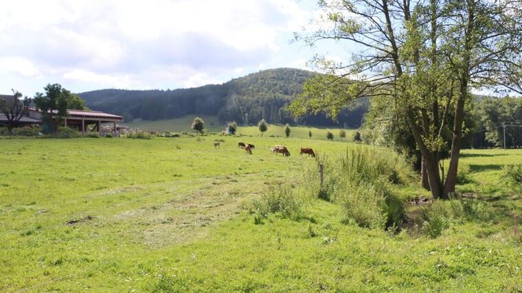 ČZU v Praze bude hostit konferenci Pestrá krajina 