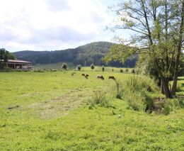 ČZU v Praze bude hostit konferenci Pestrá krajina