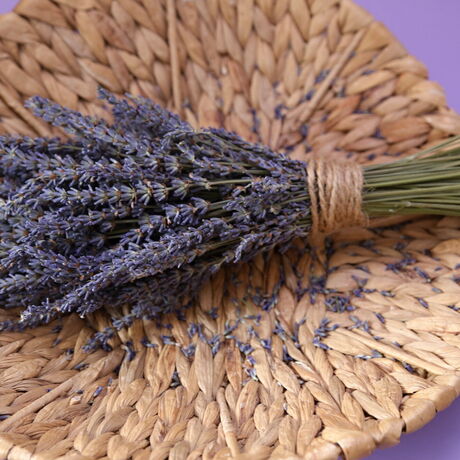 Levandulový Statek Bezděkov