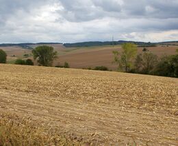 „Podvod na voliče, ohrožení Česka,“ varuje šéf zemědělců