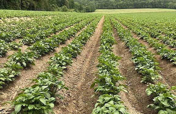 Rodinná farma Laloučkovi