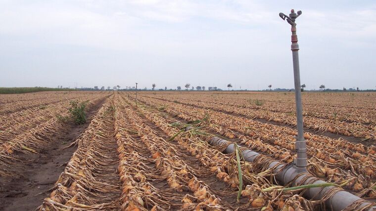 Zemědělcům usnadní práci nový systém pro měření meteorologických podmínek v porostu