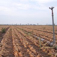 Zemědělcům usnadní práci nový systém pro měření meteorologických podmínek v porostu