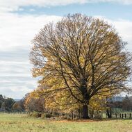K novele zákona o Státním pozemkovém úřadu s Janem Šteflem v Českém rozhlase Plus 