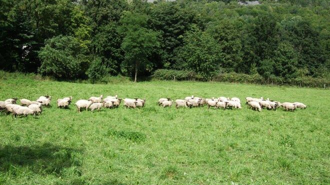 Agrofarma Merboltice