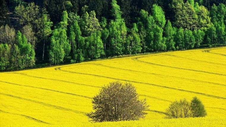 Agrofertu se může právní válka se státem vymstít, říká šéf dotačního fondu