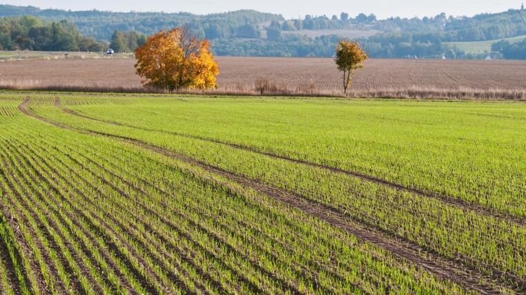 Čeští zemědělci udávají trendy ve snižování spotřeby pesticidů