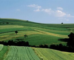  Martin Rexa: Stát už nebude penalizovat zemědělce za meze nebo remízky na okrajích polí