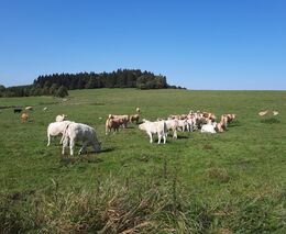 Jiří Kunc: Jak kancelářští zemědělci káží o vlastenecké obětavosti
