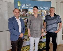 Jak podpořit malé a střední zpracovatele?