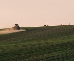 Mechanická ochrana úzkořádkových porostů v ekologickém zemědělství