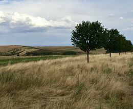 Projekt AGFOSY získal cenu DZS 2021: to nejlepší z mezinárodního vzdělávání v kategorii udržitelnost