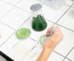 Mikrořasy by ve vesmíru mohly sloužit k výrobě biopaliva, čištění vody i jako doplněk stravy