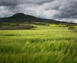 Fórum ochrany přírody: Návrh nařízení o obnově přírody – zemědělská krajina