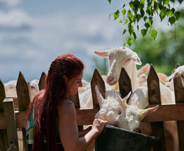 Svaz: V ČR přibývá agroturistických zařízení, lidé mohou vybírat mezi 1000
