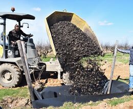 Vědci LDF MENDELU dokáží využít čistírenský kal, přidávají ho do substrátu pro pěstování stromů