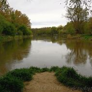Karel Stober: Ekologická katastrofa v Podyjí
